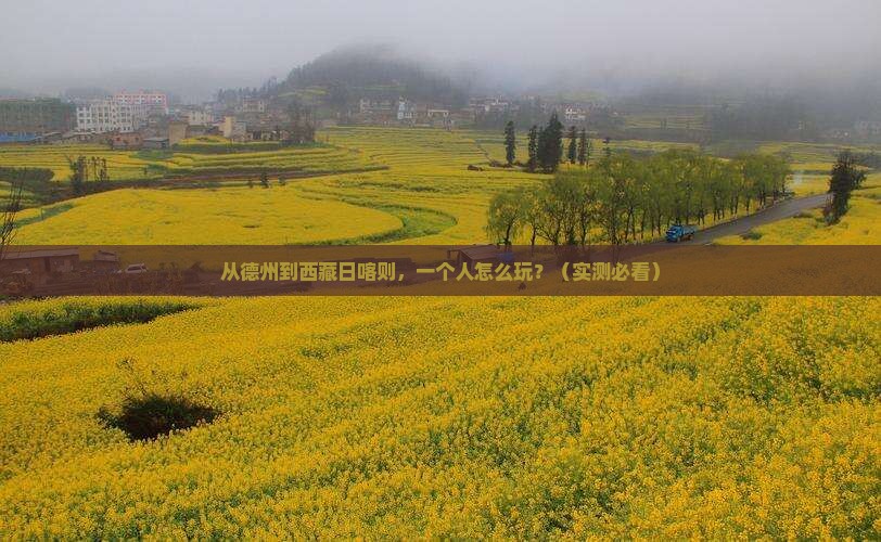 德州去西藏日喀则个人游