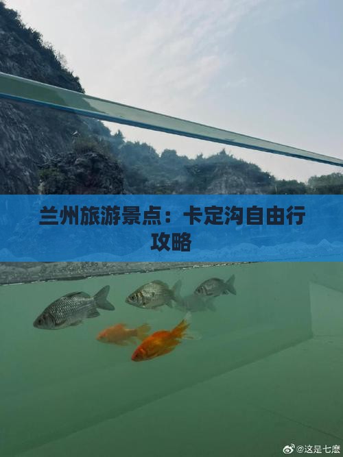兰州到西藏卡定沟自由行