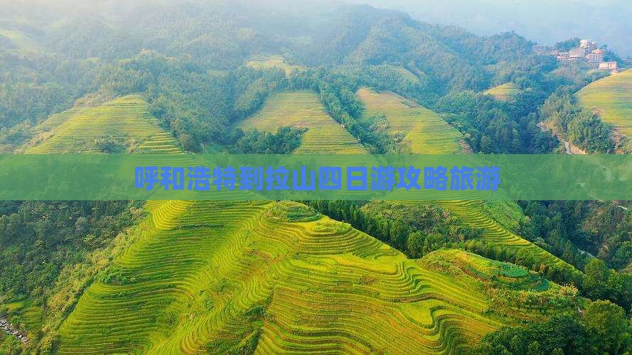 呼和浩特到西藏色季拉山四日游