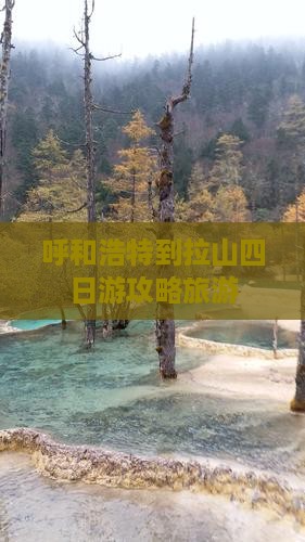 呼和浩特到西藏色季拉山四日游