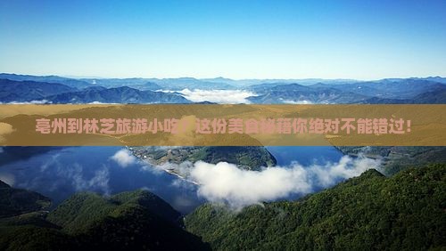 亳州到西藏林芝旅游小吃