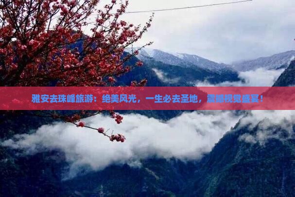 雅安去西藏珠峰大本营旅游