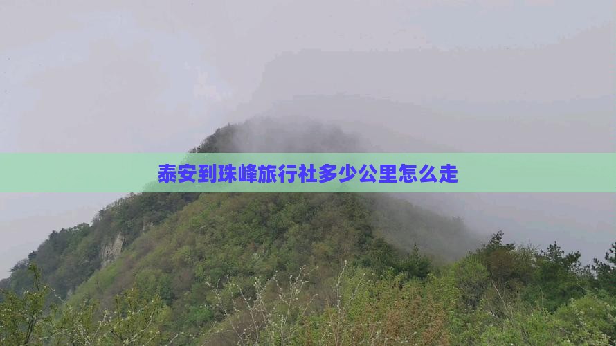 泰安到西藏珠峰大本营旅行社