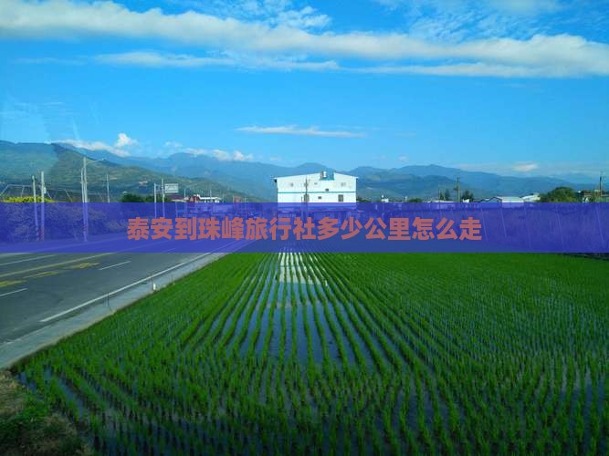 泰安到西藏珠峰大本营旅行社