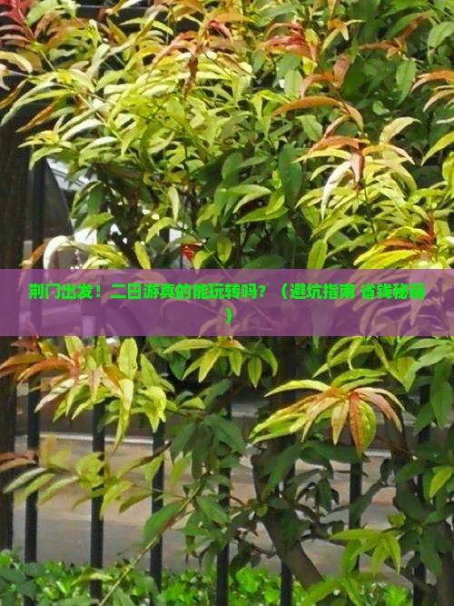 荆门到西藏二日游