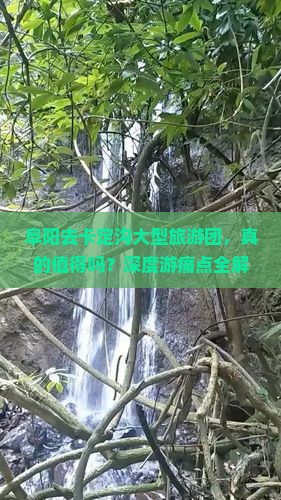 阜阳去西藏卡定沟大型旅游团