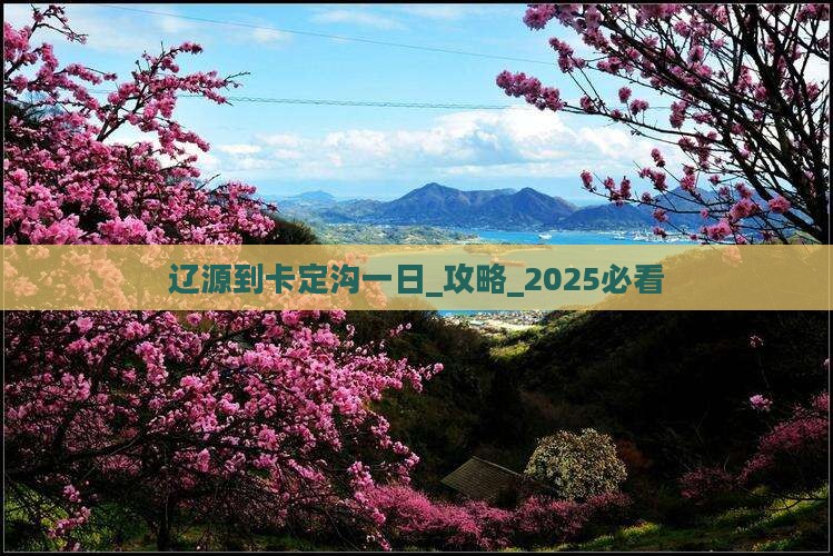 辽源到西藏卡定沟一日