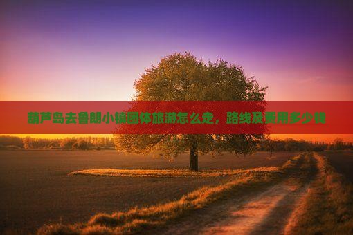 葫芦岛去西藏鲁朗小镇团体旅游