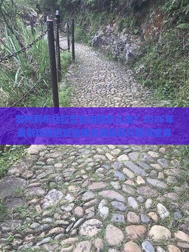 滁州到西藏布达拉宫自由团