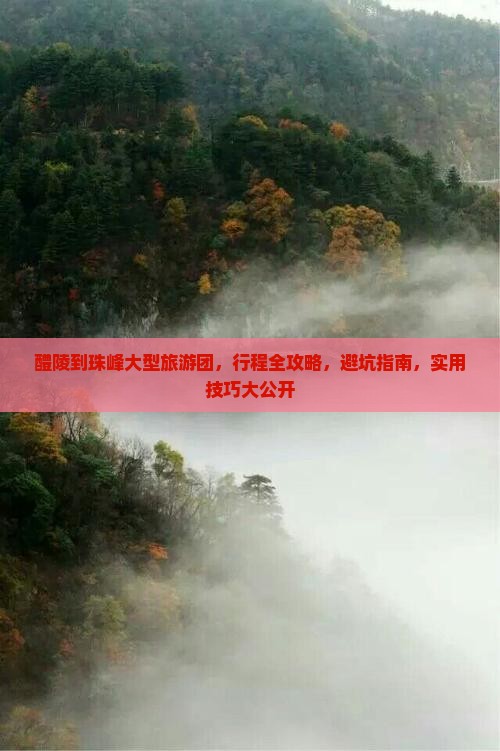 醴陵到西藏珠峰大本营大型旅游团