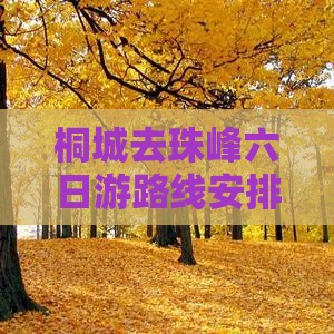 桐城去西藏珠峰大本营六日游