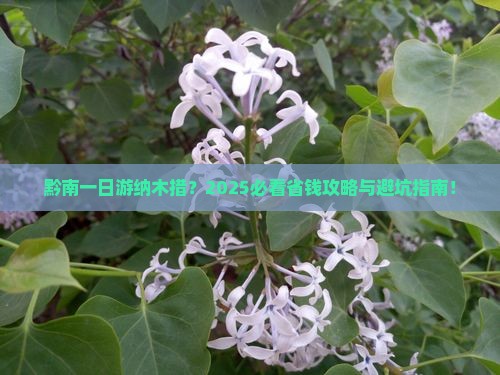 黔南到西藏纳木措一日