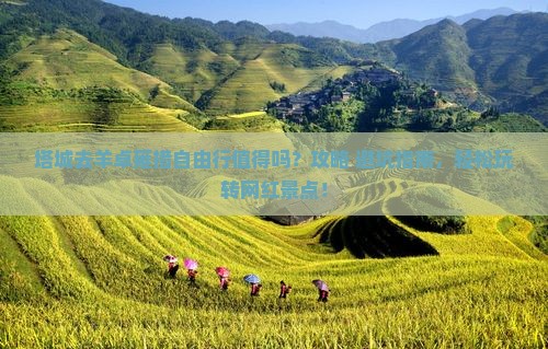 塔城去西藏羊卓雍措自由行