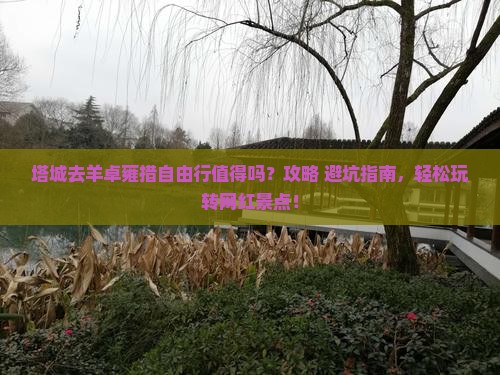 塔城去西藏羊卓雍措自由行