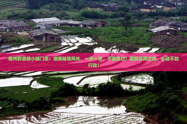 梧州到西藏鲁朗小镇门票