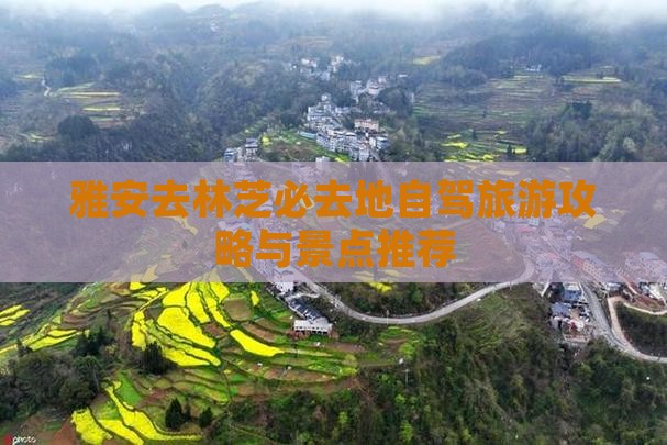 雅安去西藏林芝必去地