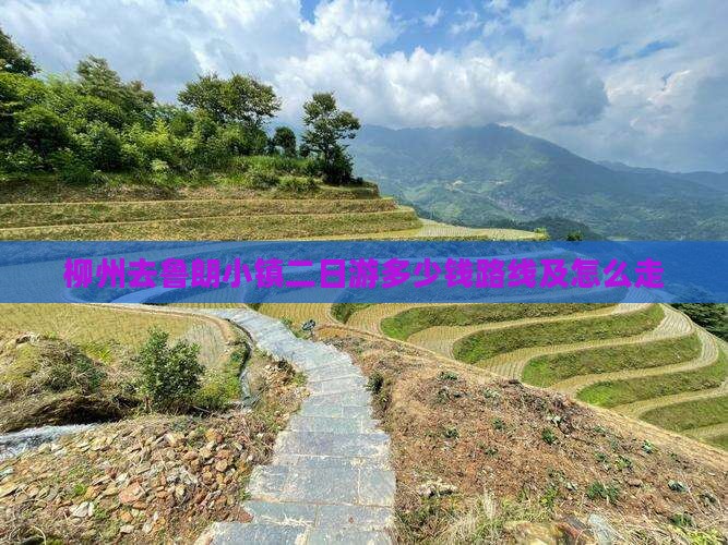 柳州去西藏鲁朗小镇二日游 柳州去西藏鲁朗小镇二日游