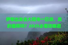 伊犁去西藏大昭寺一日