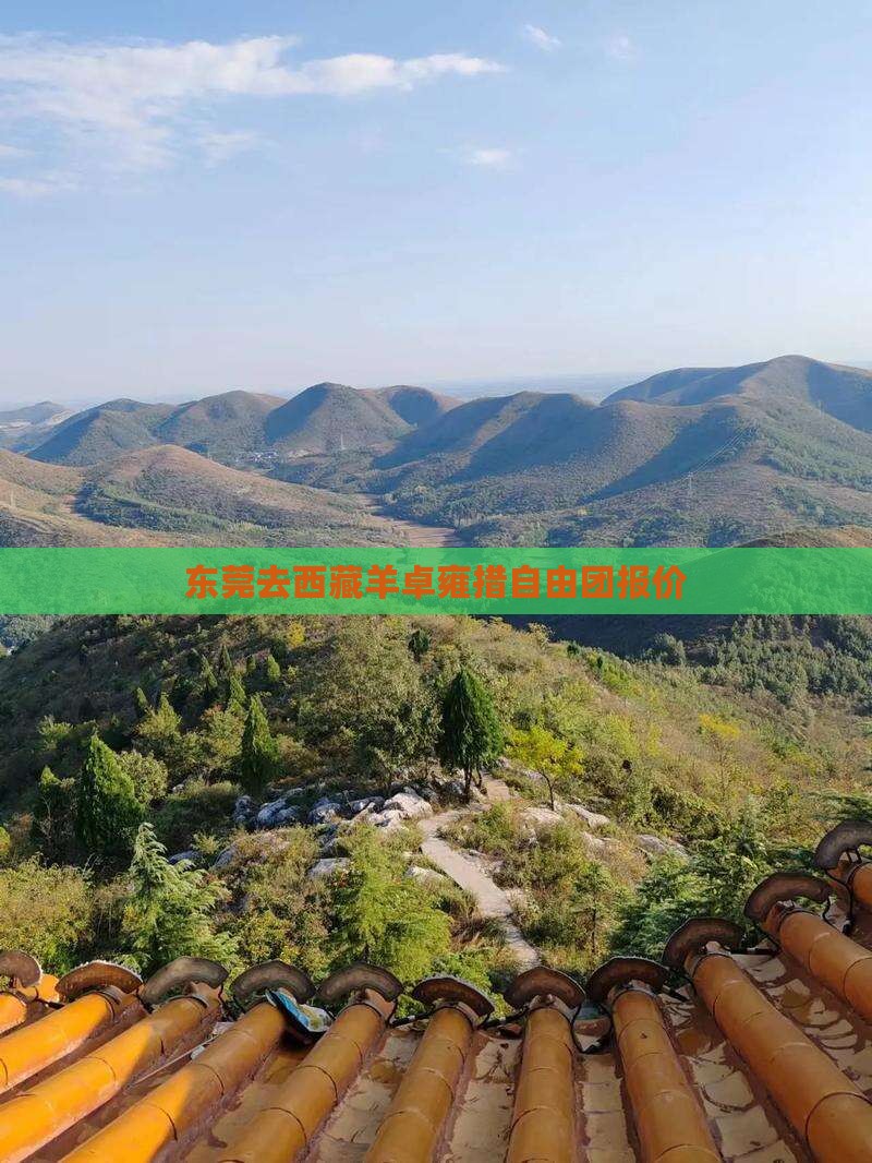 东莞去西藏羊卓雍措自由团
