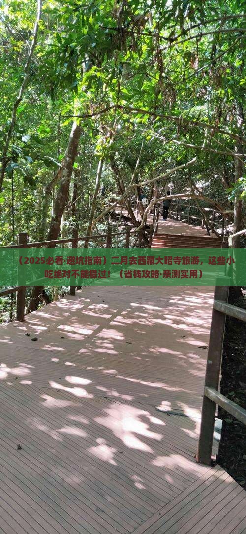 二月去西藏大昭寺旅游小吃