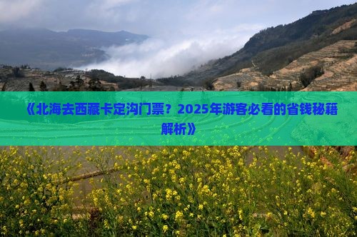 北海去西藏卡定沟门票