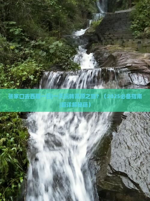 张家口去西藏一日