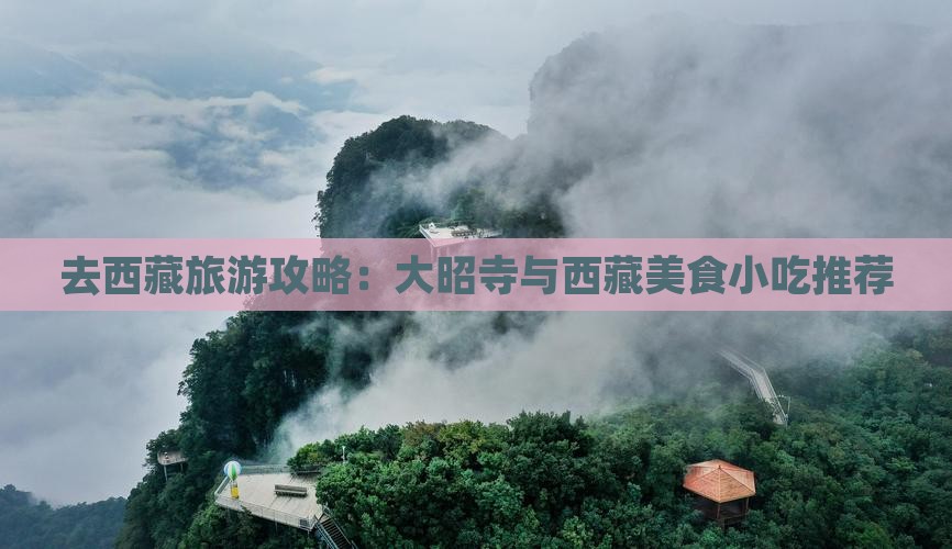 乌鲁木齐去西藏大昭寺旅游小吃