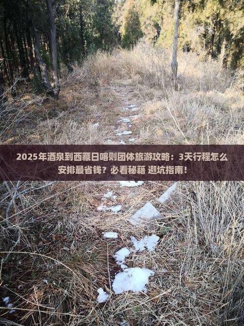 酒泉到西藏日喀则团体旅游