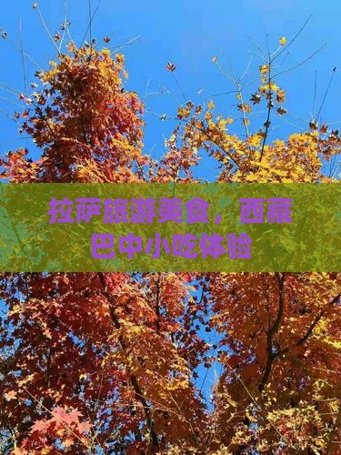 巴中去西藏拉萨旅游小吃
