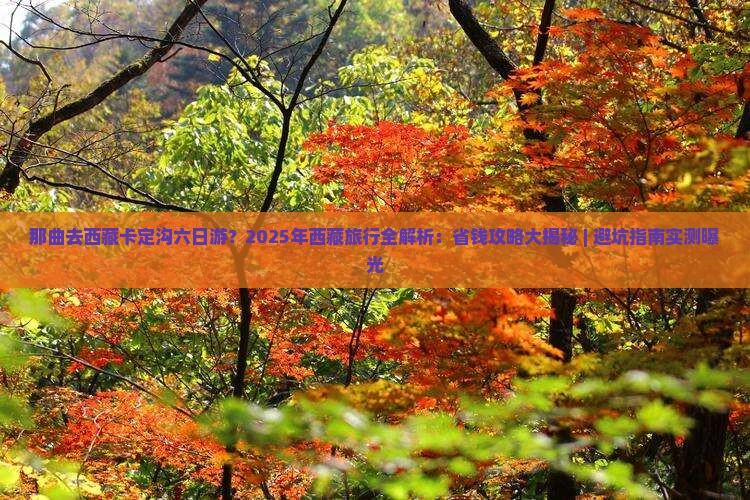 那曲去西藏卡定沟六日游