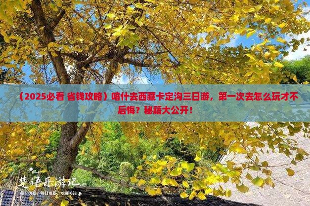 喀什去西藏卡定沟三日游