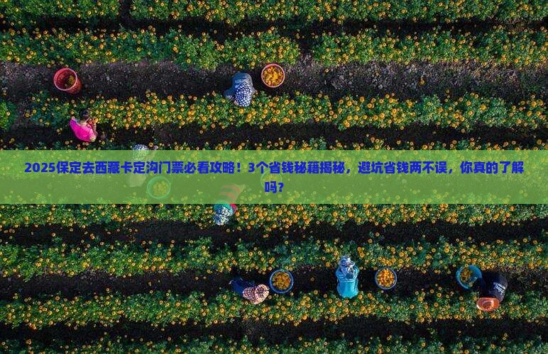 保定去西藏卡定沟门票