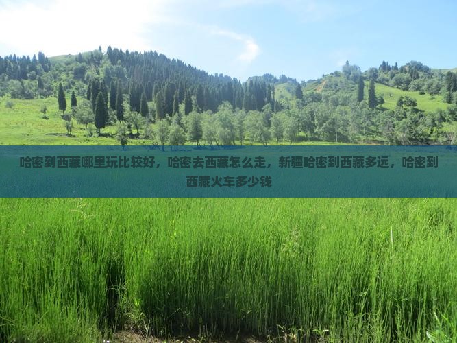 哈密到西藏哪里玩