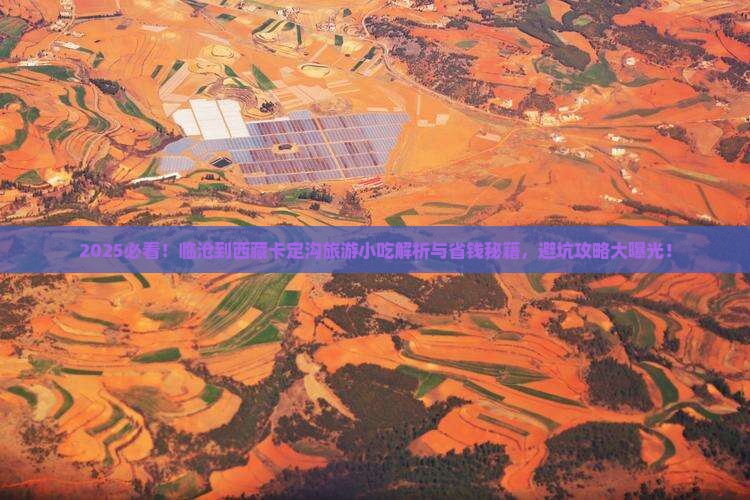 临沧到西藏卡定沟旅游小吃
