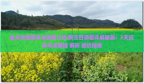 金华去西藏羊卓雍措三日游