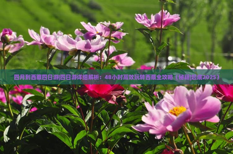 四月到西藏四日游