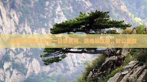 德宏到西藏大昭寺一日