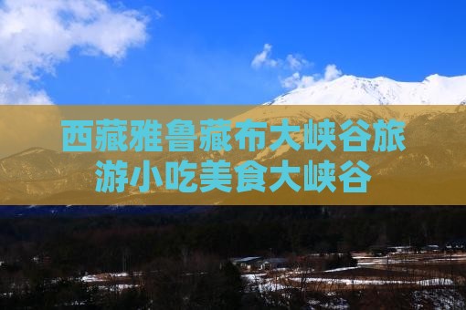 怀化到西藏雅鲁藏布大峡谷旅游小吃