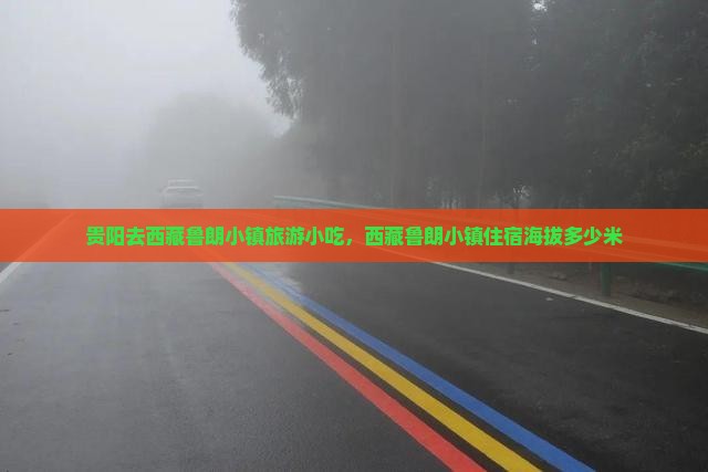 贵阳去西藏鲁朗小镇旅游小吃