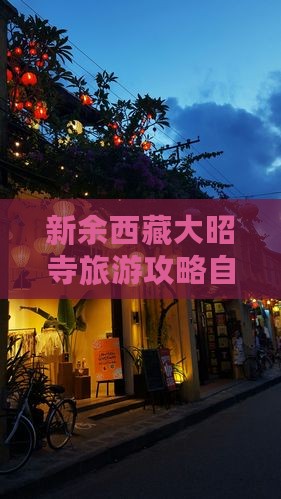 新余去西藏大昭寺自由行