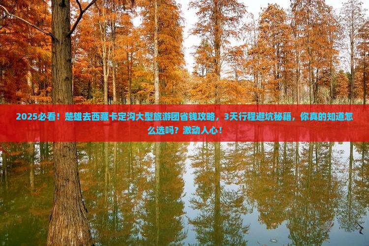 楚雄去西藏卡定沟大型旅游团