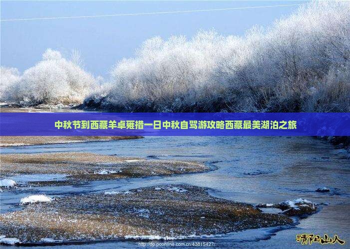 中秋节到西藏羊卓雍措一日