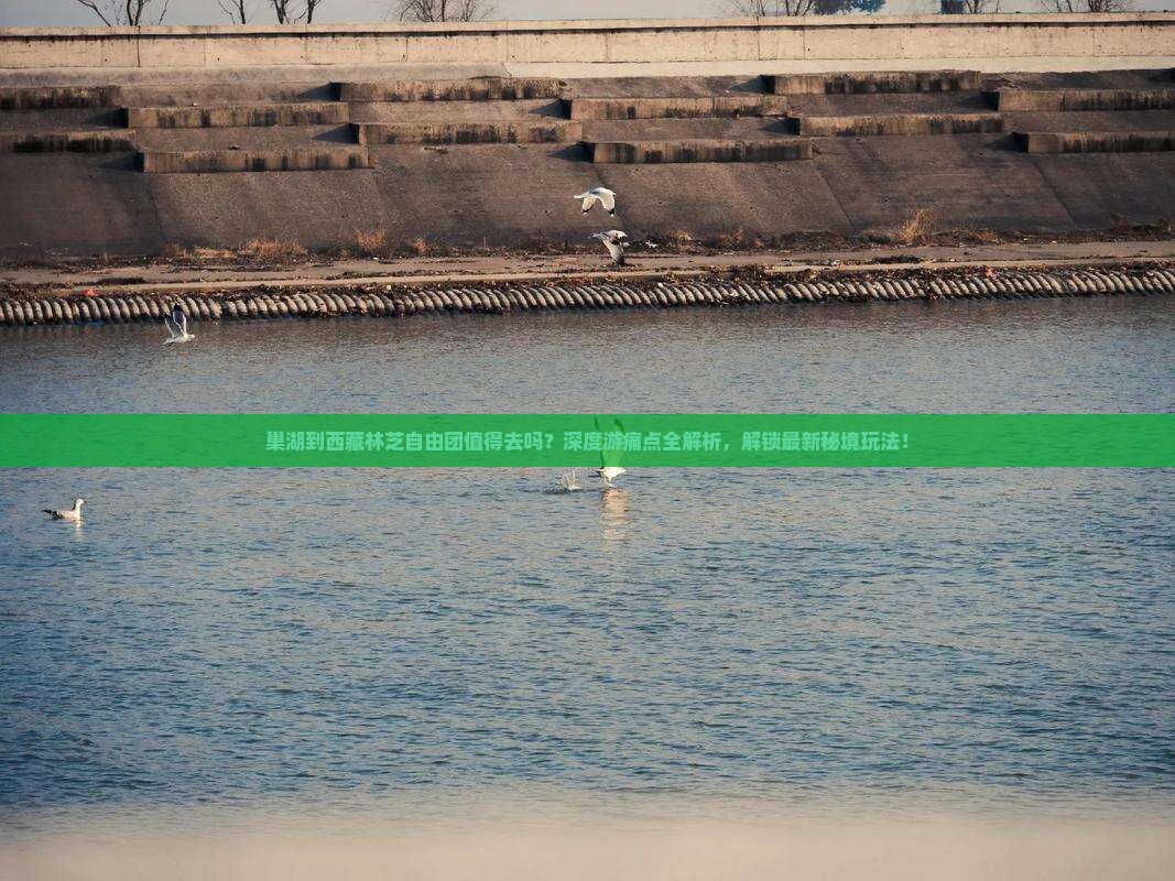 巢湖到西藏林芝自由团
