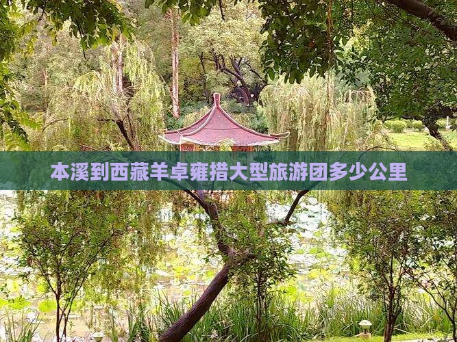 本溪到西藏羊卓雍措大型旅游团