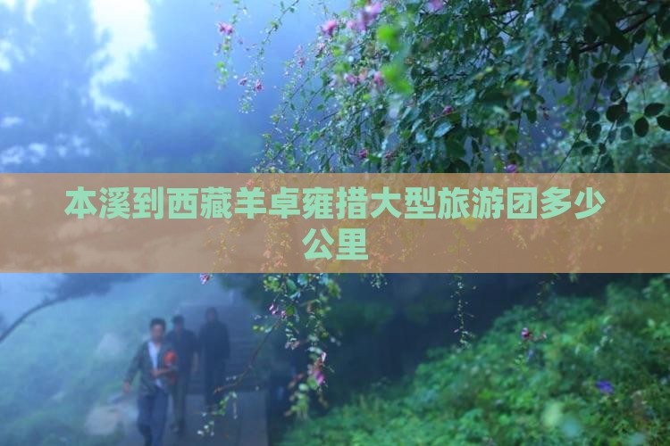 本溪到西藏羊卓雍措大型旅游团