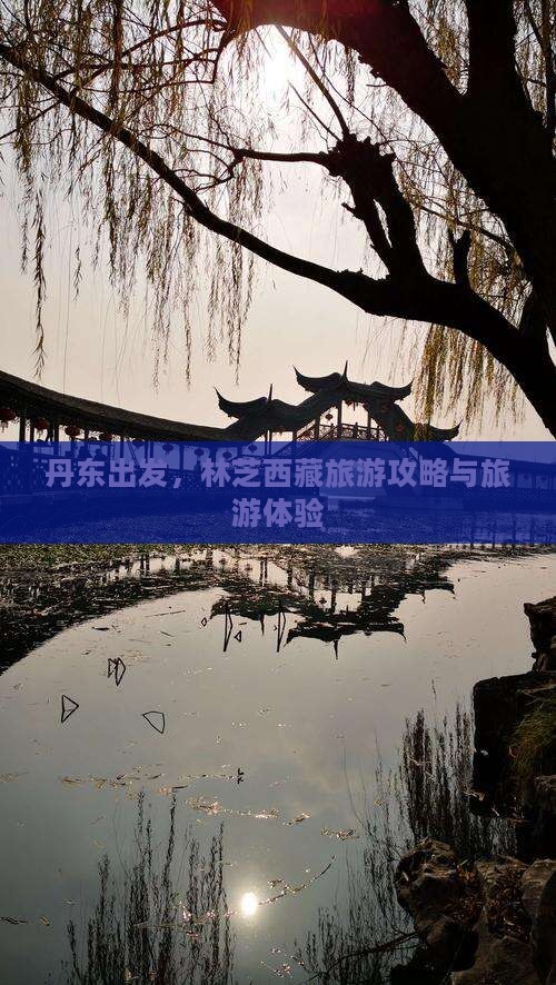 丹东去西藏林芝旅游