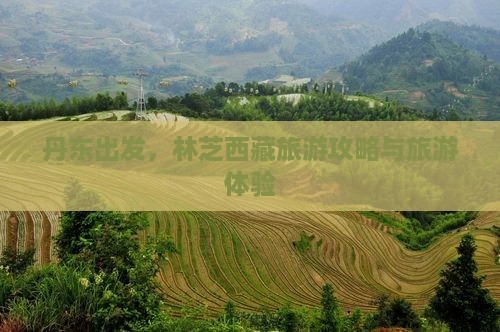 丹东去西藏林芝旅游