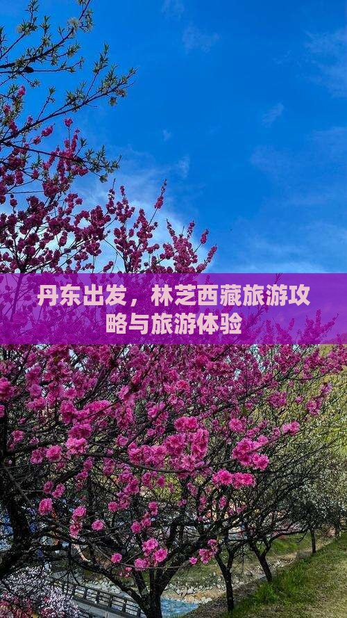 丹东去西藏林芝旅游