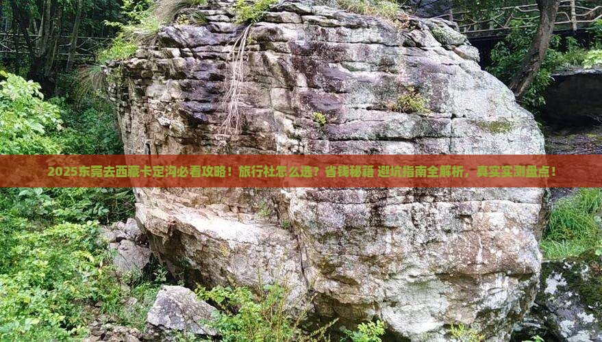 东莞去西藏卡定沟旅行社