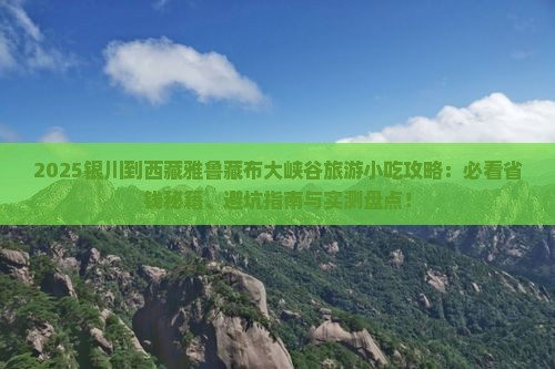 银川到西藏雅鲁藏布大峡谷旅游小吃